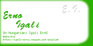 erno igali business card