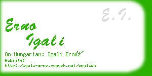 erno igali business card